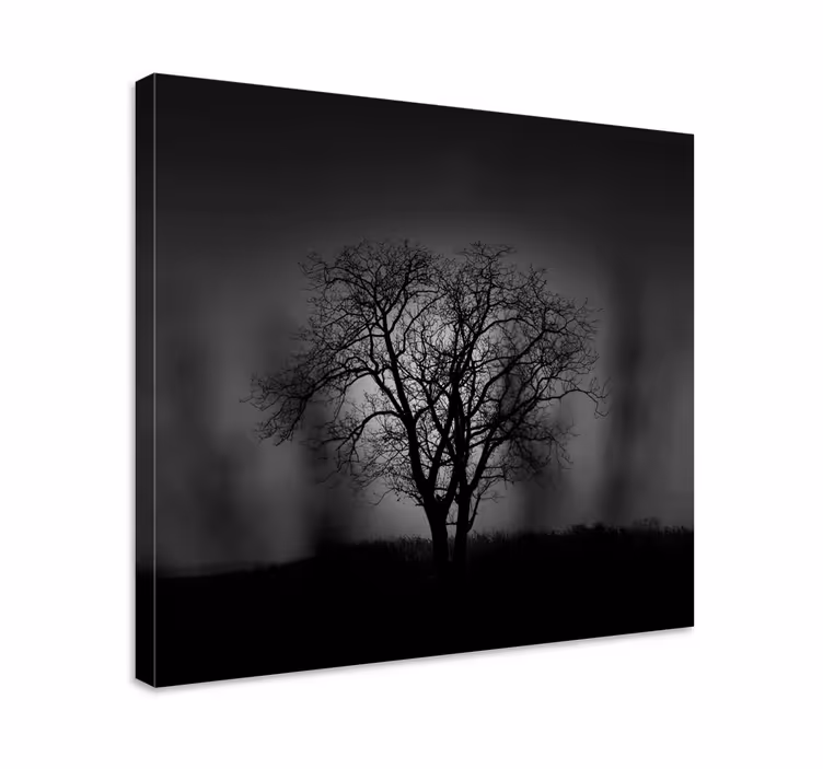Cuadro árboles silueta de árbol - TenVinilo