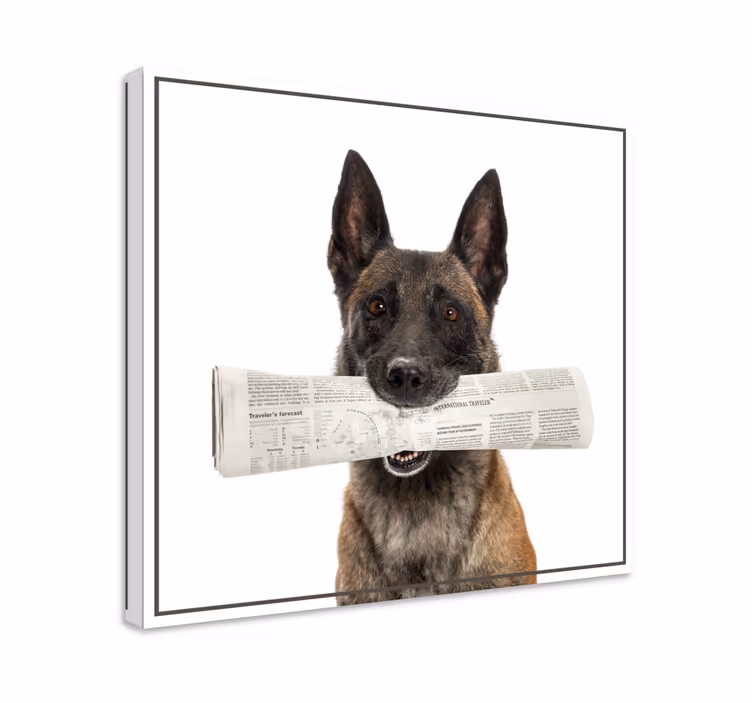 Cuadro perro llevando periódico - TenVinilo
