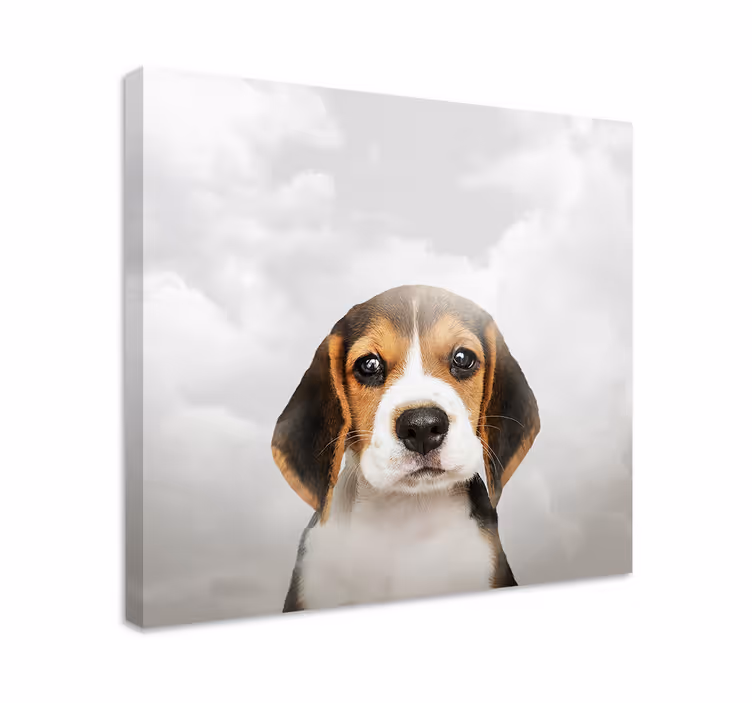 Cuadro perro retrato de beagle - TenVinilo