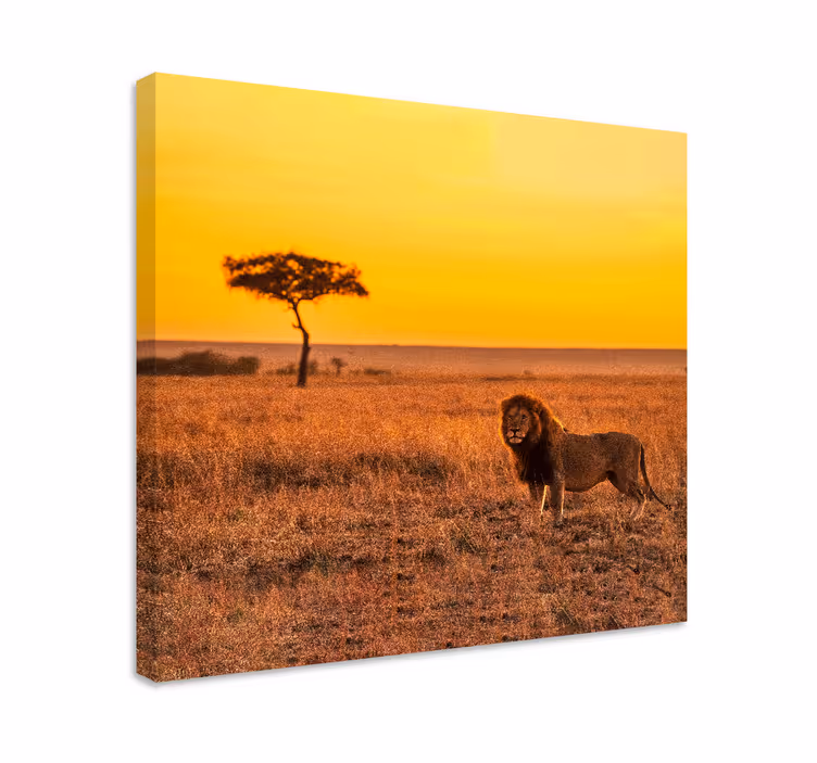 Cuadro animales árbol de sabana salvaje en la noche - TenVinilo