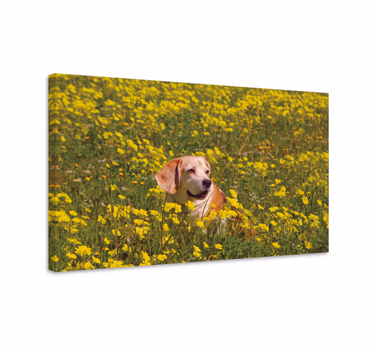 Cuadro perro feliz al aire libre - TenVinilo