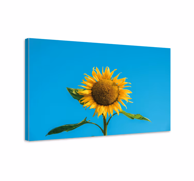 Cuadro de flores girasol radiante - TenVinilo