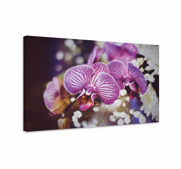 Cuadro de flores detalle de flores de orquídea - TenVinilo
