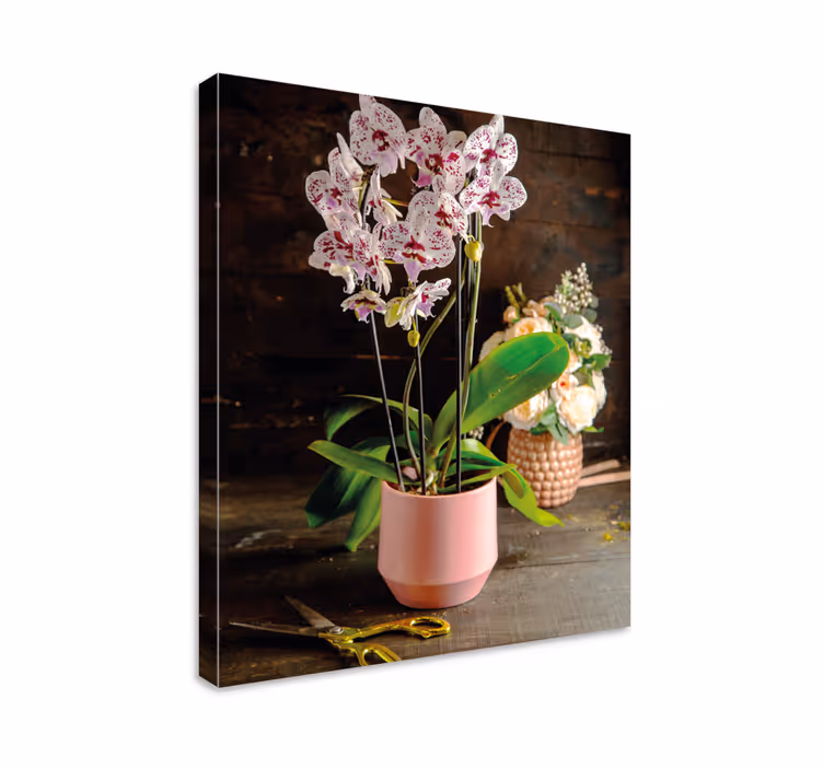 Cuadro de flores arreglo de orquídeas - TenVinilo