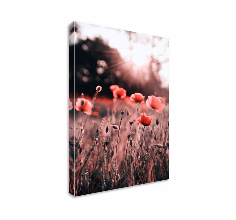 Cuadro de flores pradera de amapolas radiante - TenVinilo