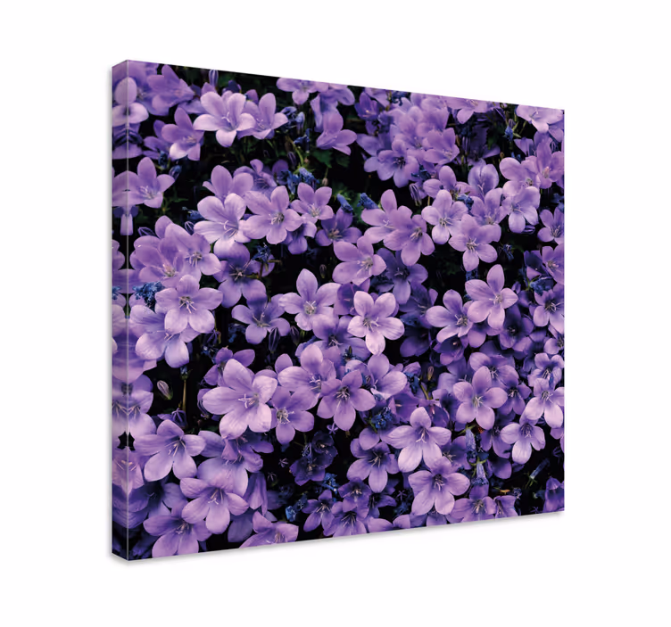 Cuadro de flores Vagas flores de color púrpura - TenVinilo
