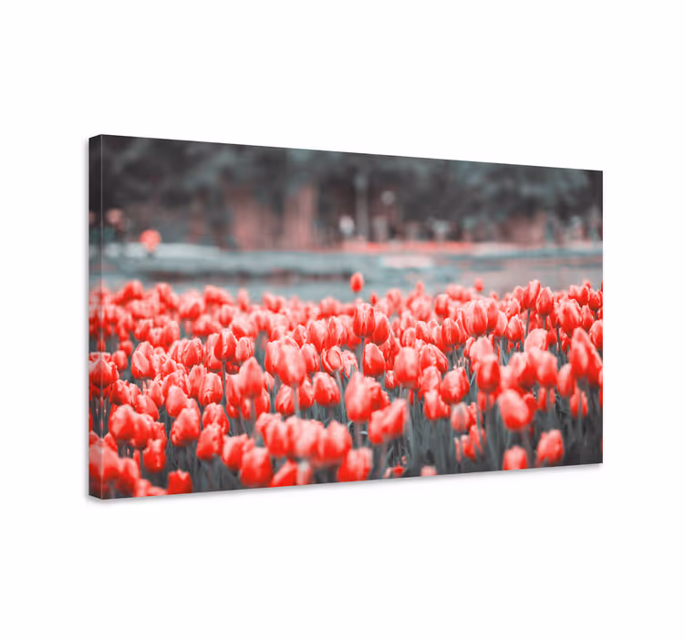 Cuadro de flores campo de tulipanes vibrantes - TenVinilo