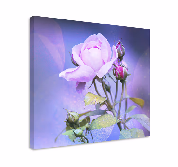 Cuadro de flores rosa en plena floración - TenVinilo