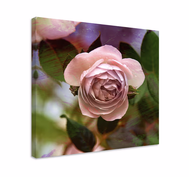 Cuadro de flores rosa en flor - TenVinilo