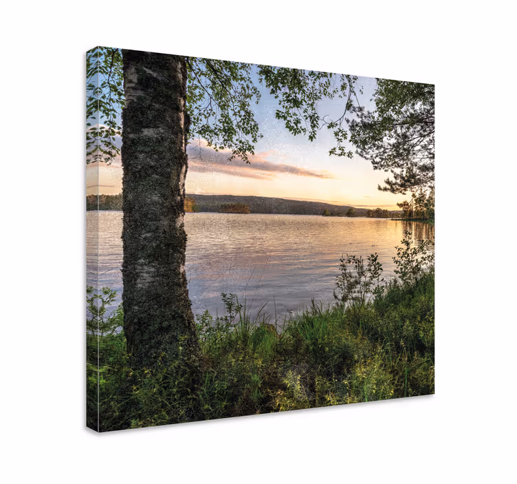 Cuadro paisajes lago sereno al atardecer - TenVinilo
