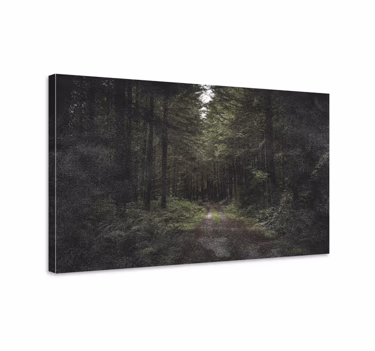 Cuadro paisajes sendero del bosque sereno - TenVinilo