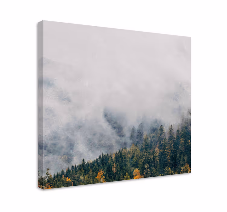Cuadro árboles paisaje del bosque brumoso - TenVinilo