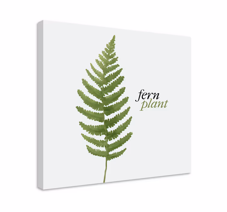 Cuadro de flores diseño de planta helecho - TenVinilo