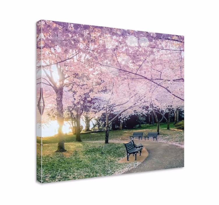 Cuadro de flores camino de los cerezos - TenVinilo