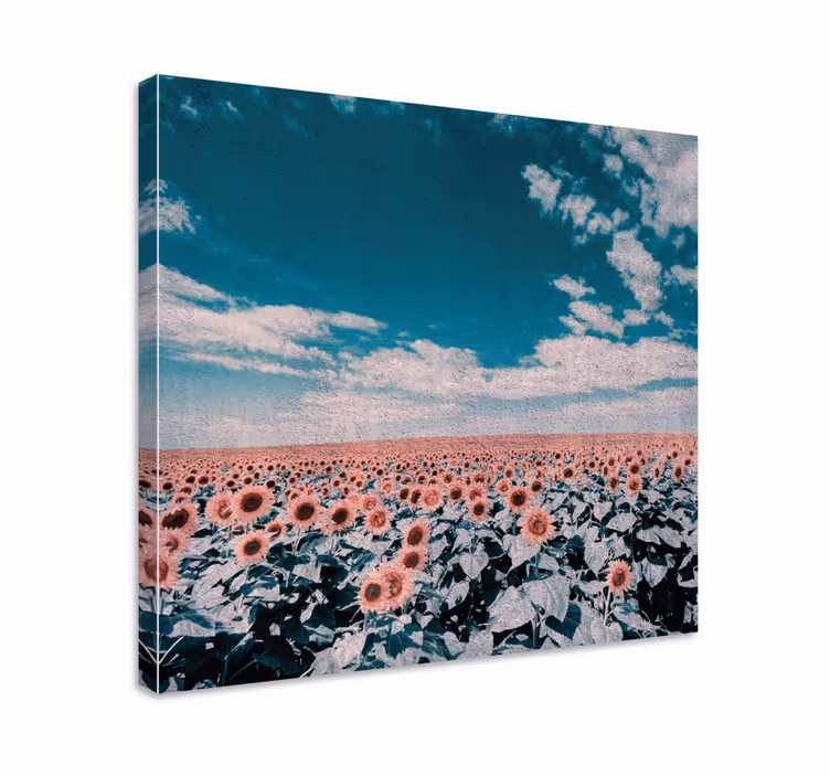 Cuadro de flores horizonte del campo de girasoles - TenVinilo