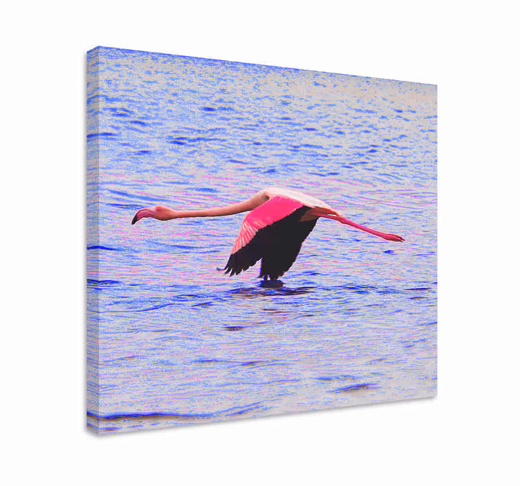 Cuadro peces flamenco en vuelo - TenVinilo