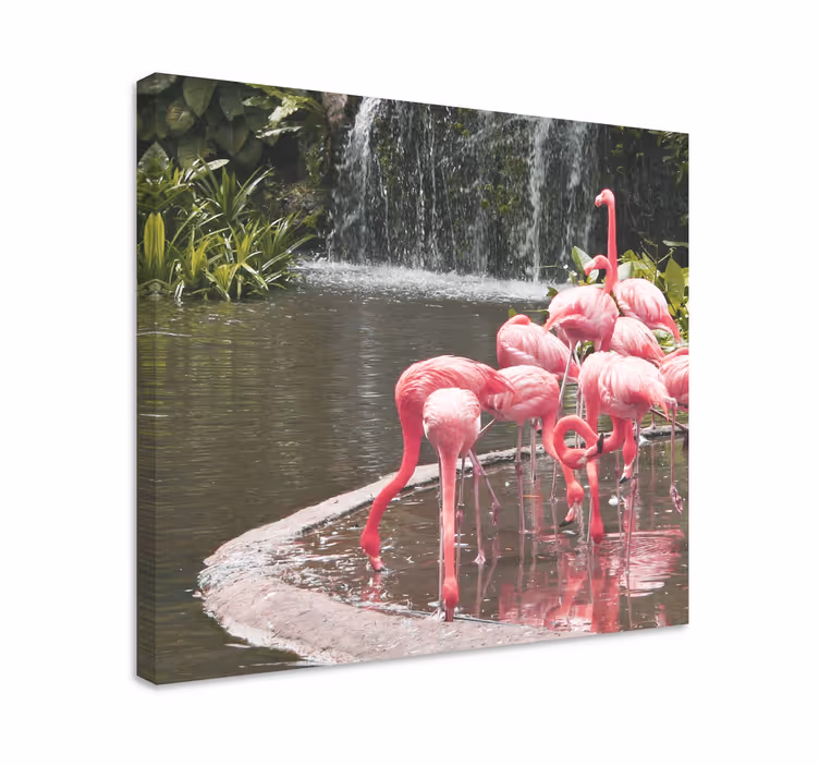 Cuadro aves bandada de flamencos en la piscina - TenVinilo