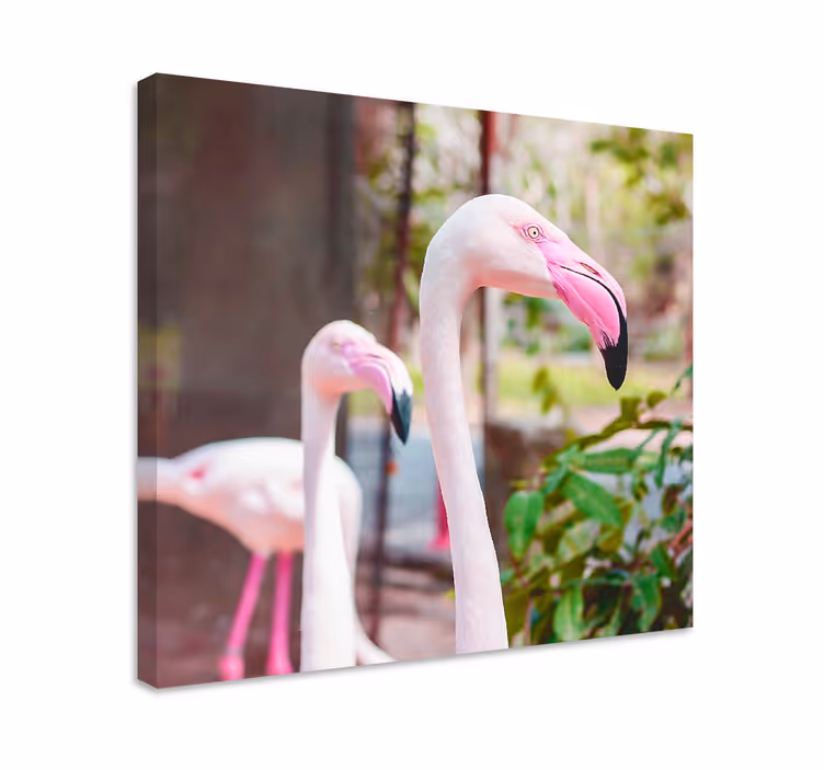 Cuadro aves flamencos elegantes juntos - TenVinilo