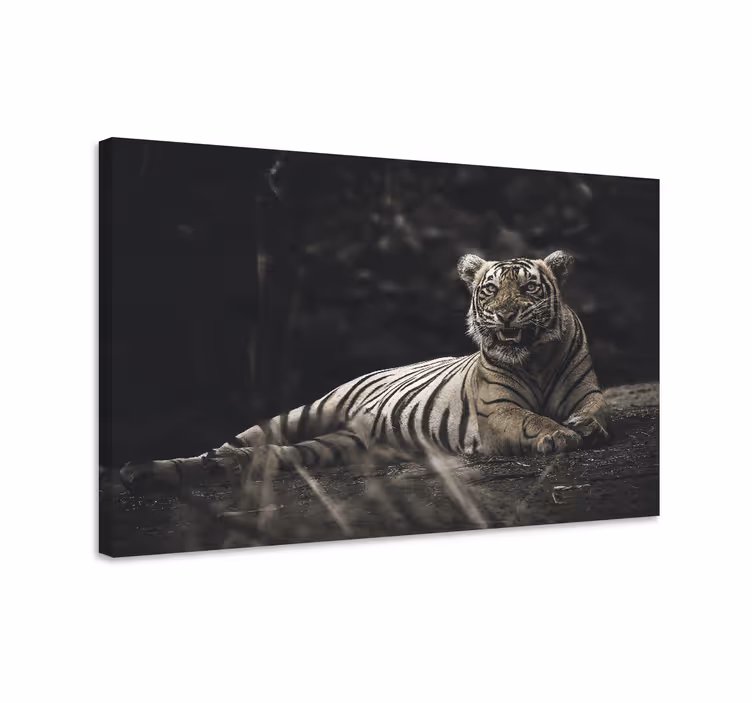 Cuadro animales tigre majestuoso descansando - TenVinilo