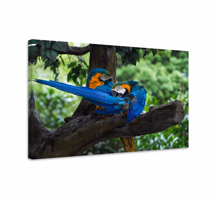 Cuadro perro pareja de loros coloridos - TenVinilo