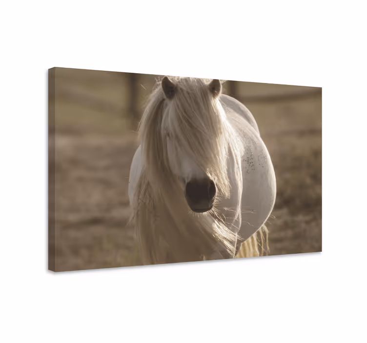 Cuadro animales Caballo de cara blanca - TenVinilo