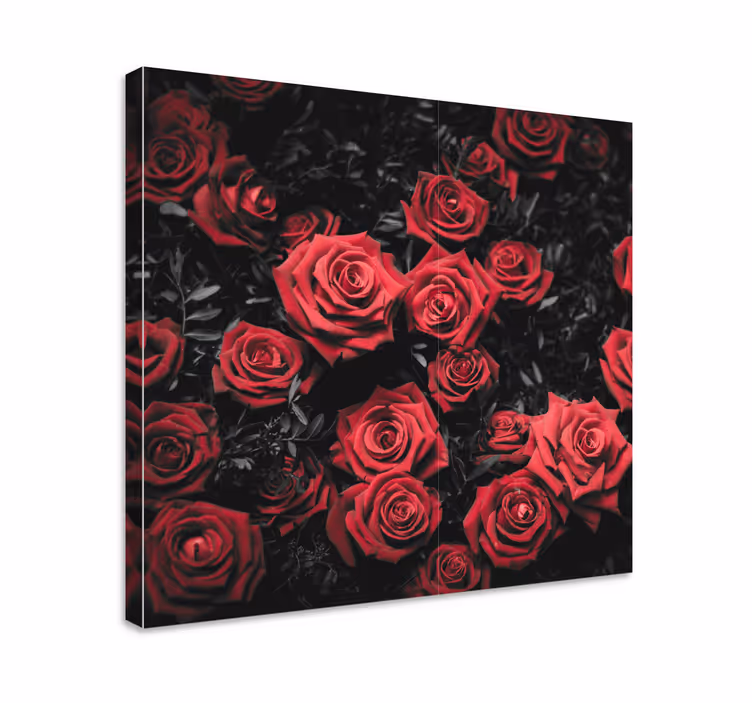 Cuadro de flores Blanco y negro con rosas rojas - TenVinilo