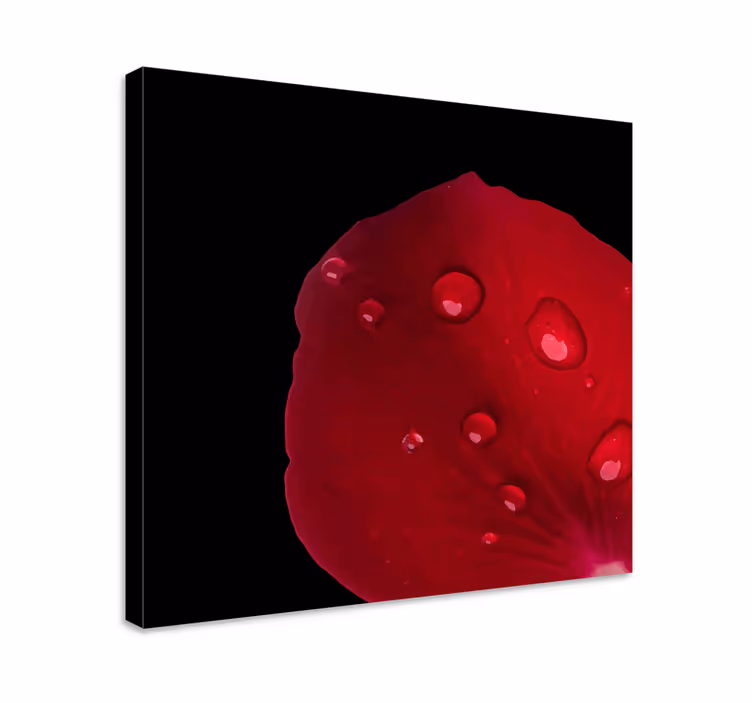 Cuadro de flores detalle de pétalos de rosa - TenVinilo