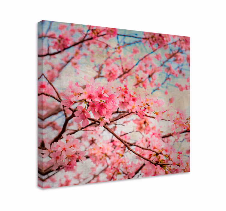 Cuadro de flores flores de cerezo - TenVinilo