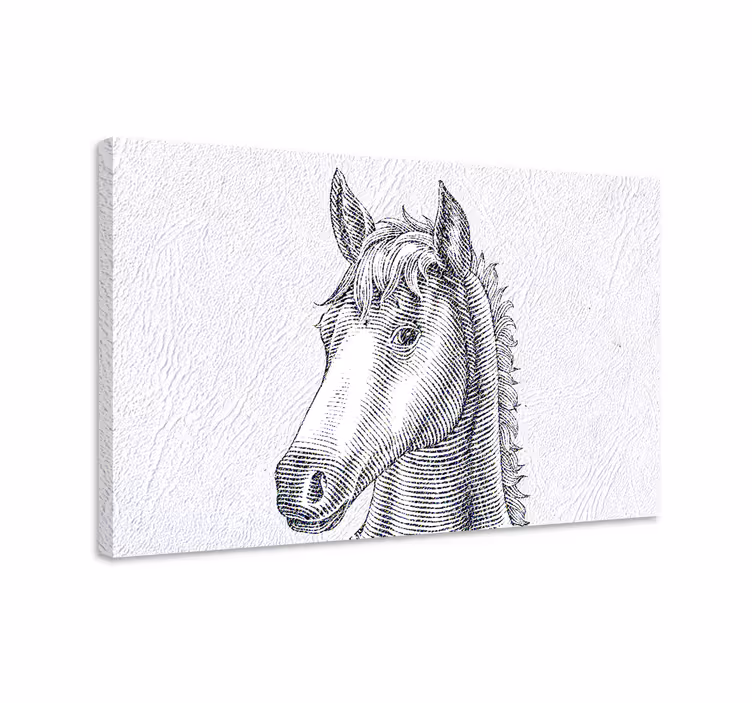 Cuadro caballos dibujo elegante de caballo - TenVinilo