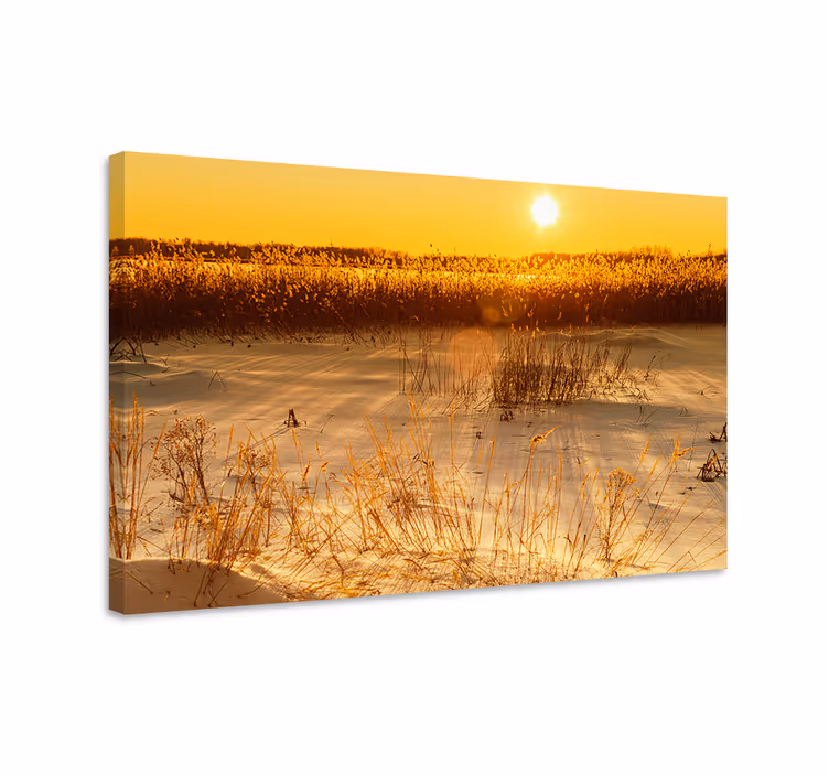 Cuadro paisajes amanecer dorado - TenVinilo