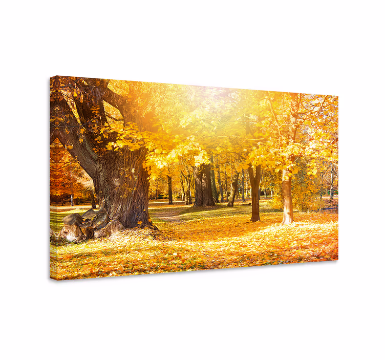Cuadro árboles sendero del bosque en otoño - TenVinilo