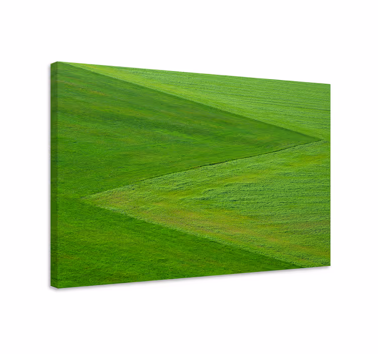 Cuadro paisajes terreno verde exuberante - TenVinilo