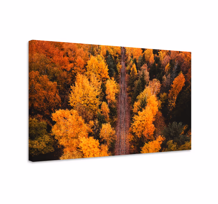Cuadro paisajes sendero de follaje otoñal - TenVinilo