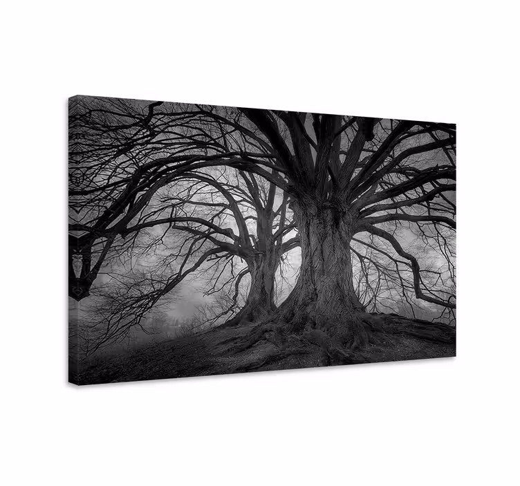 Cuadro árboles Árboles misteriosos sin hojas - TenVinilo