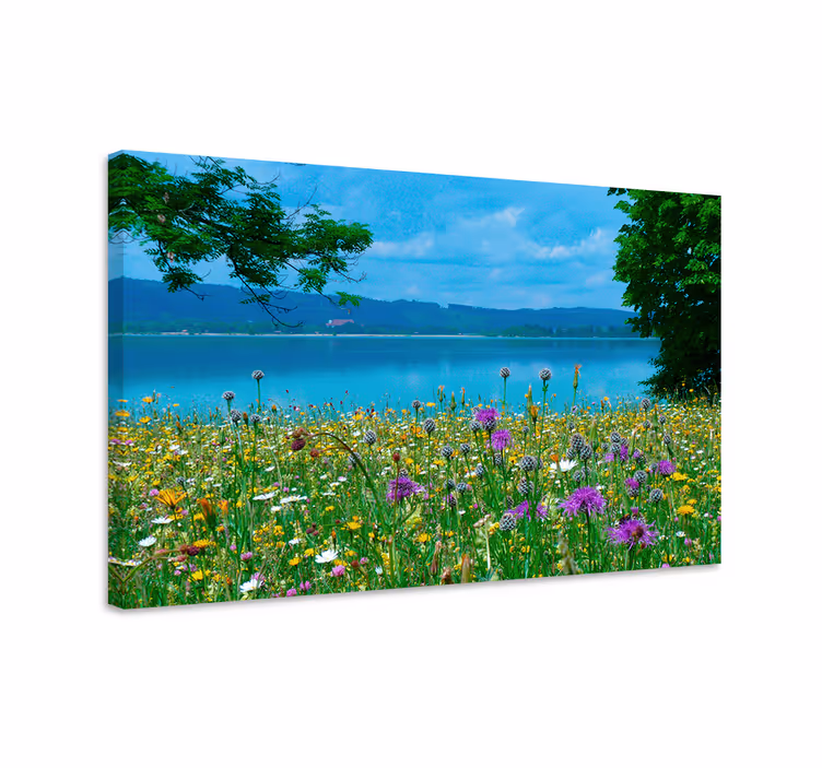 Cuadro de flores vista de pradera en flor - TenVinilo