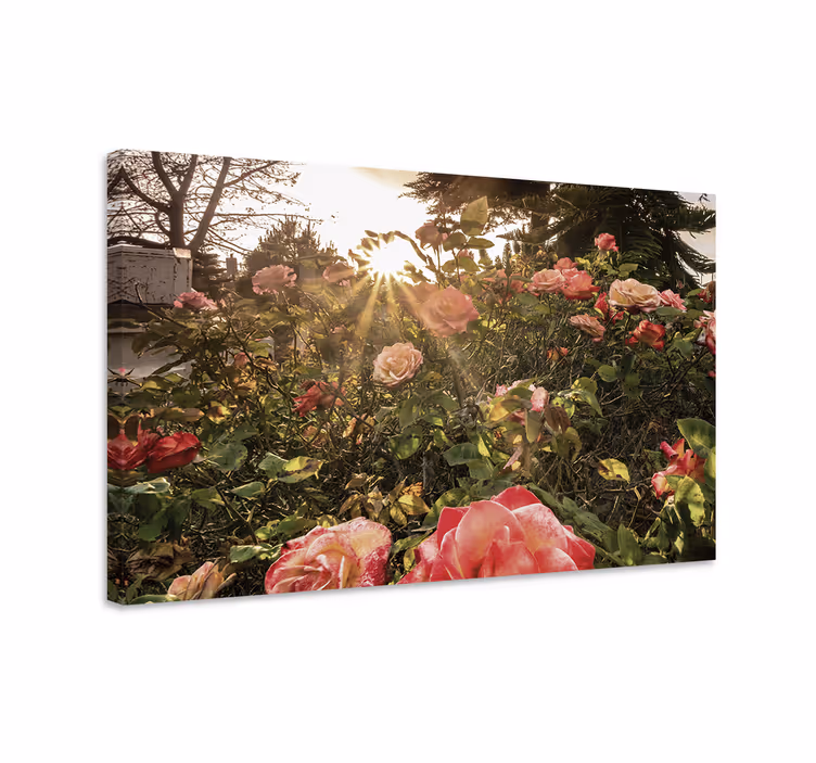 Cuadro de flores capullos de rosa radiantes - TenVinilo