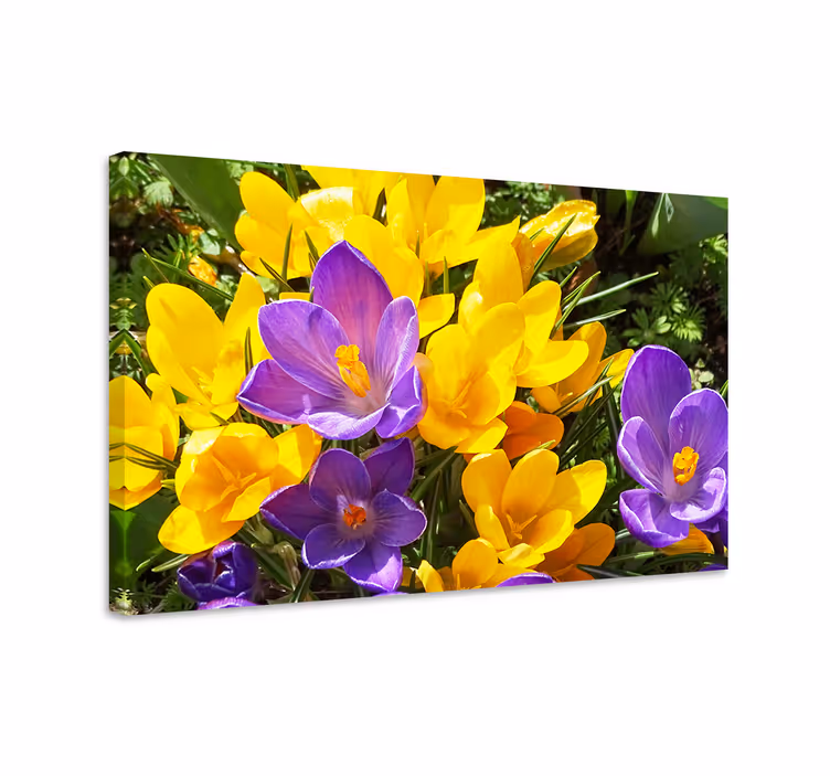 Cuadro de flores ramo de flores coloridas de primavera - TenVinilo
