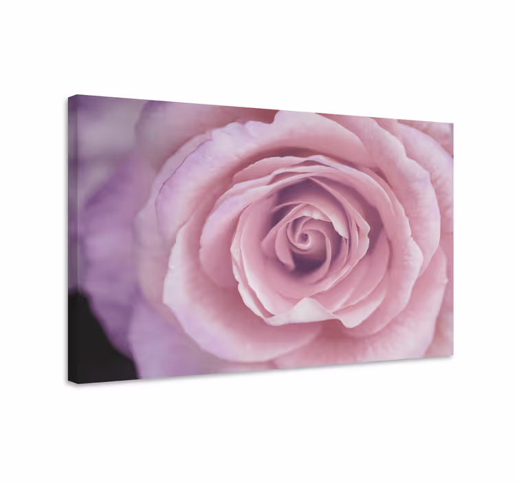 Cuadro de flores detalle floral rosa - TenVinilo