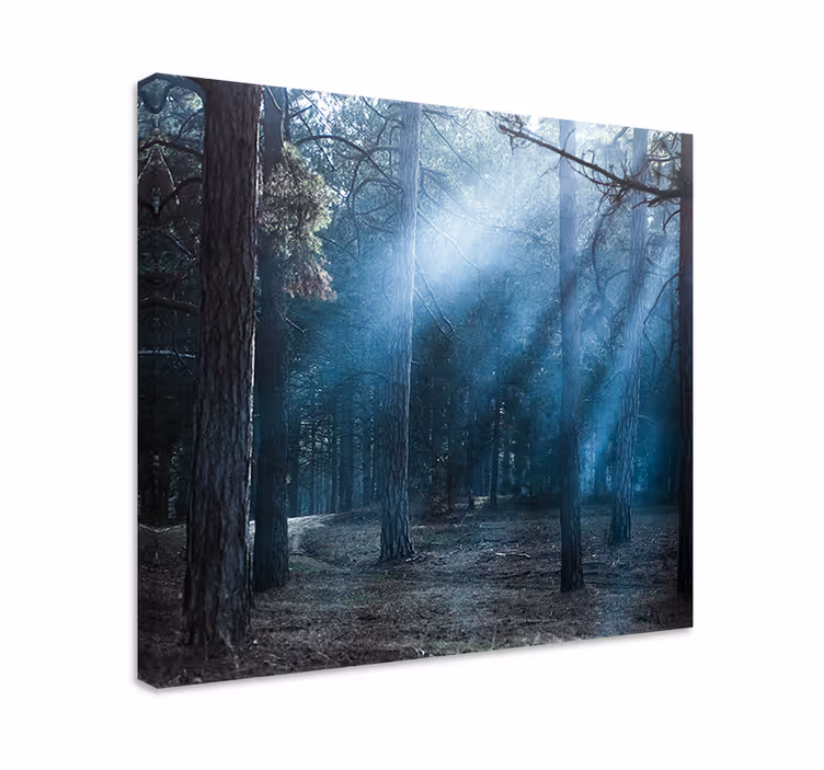 Cuadro paisajes sendero boscoso nebuloso - TenVinilo