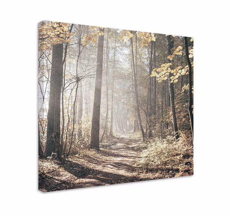 Cuadro paisajes camino cubierto de niebla - TenVinilo