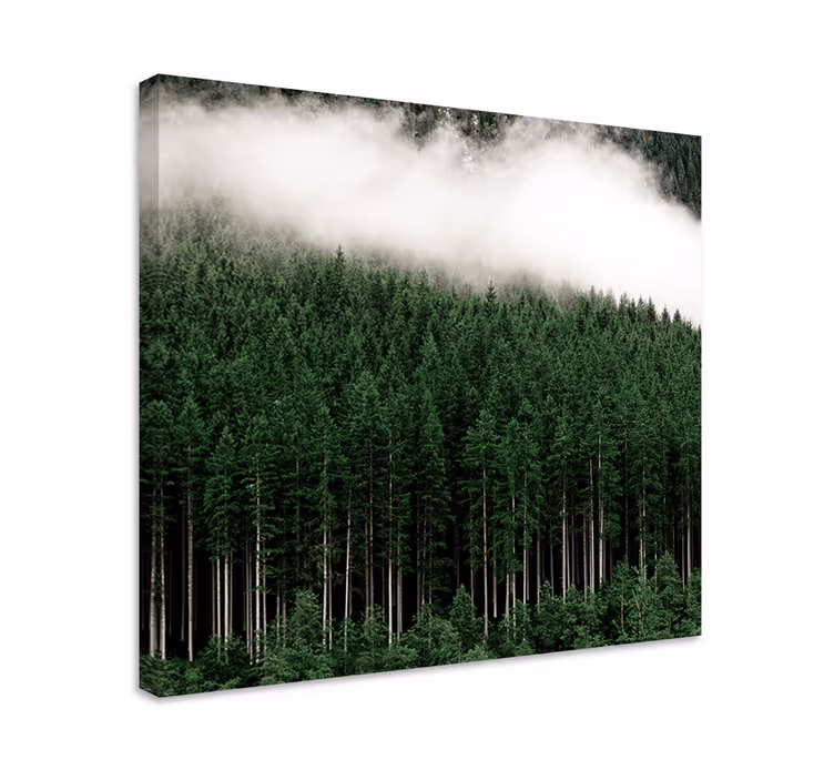 Cuadro árboles bosque verde brumoso - TenVinilo