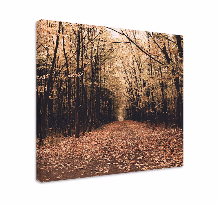 Cuadro paisajes escena de camino en otoño - TenVinilo