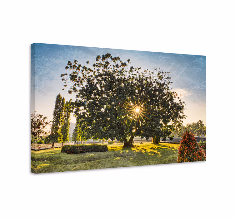 Cuadro árboles silueta de árbol majestuoso - TenVinilo