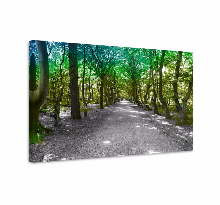 Cuadro árboles sendero del bosque verde - TenVinilo