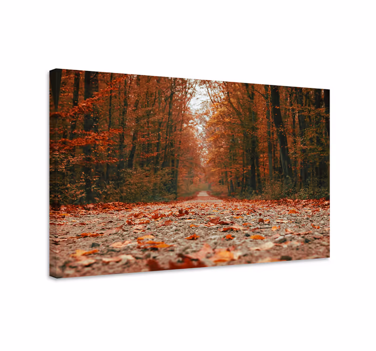 Cuadro paisajes sendero de otoño - TenVinilo