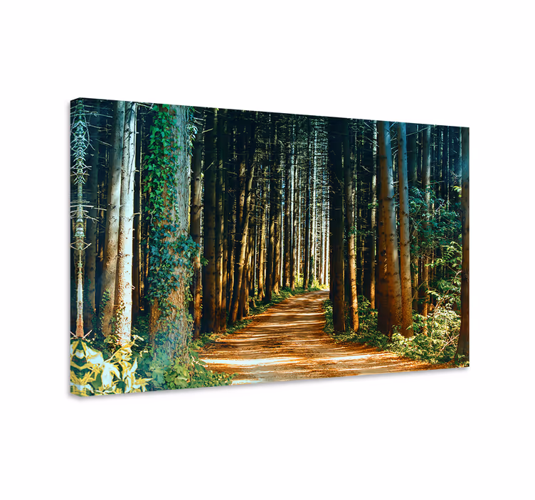 Cuadro paisajes sendero en el bosque - TenVinilo