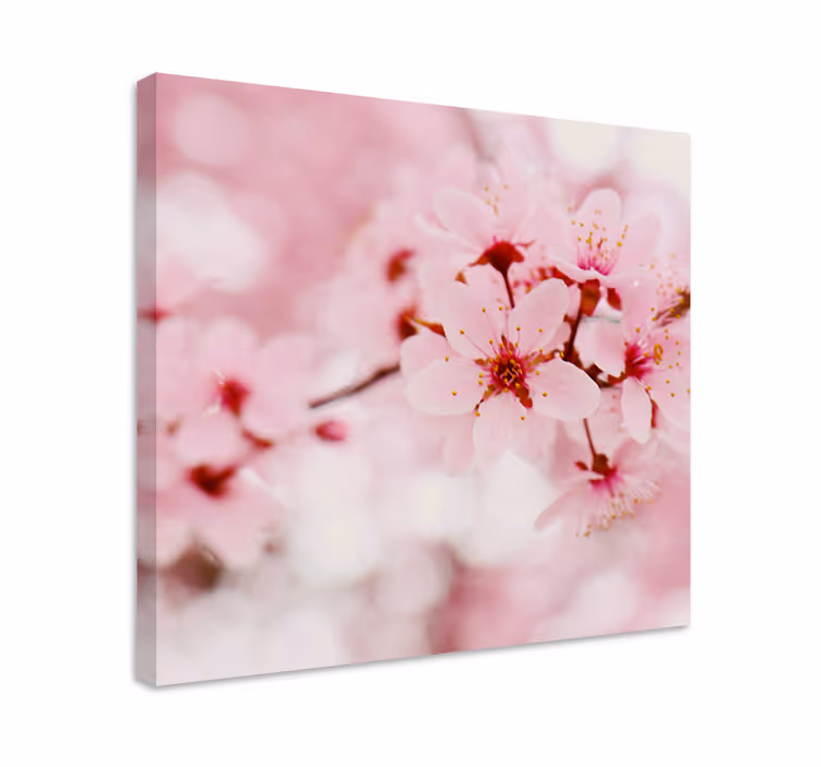 Cuadro de flores Arte de fotografía de flor rosa - TenVinilo