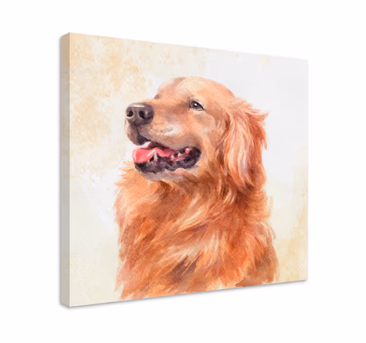 Cuadro perro ilustración golden retriever - TenVinilo