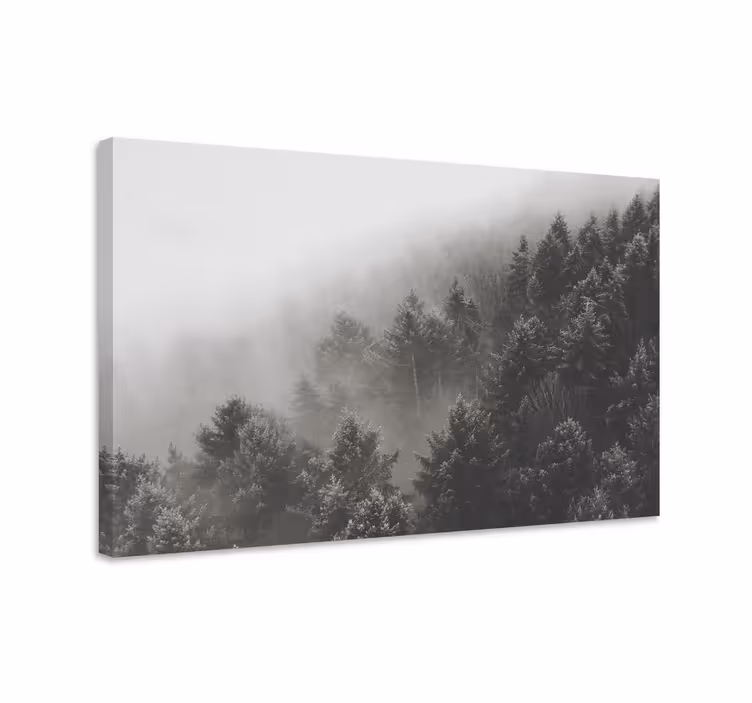 Cuadro 3d Bosque con pinos blancos - TenVinilo
