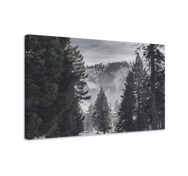 Cuadro paisajes escena de montañas majestuosas - TenVinilo